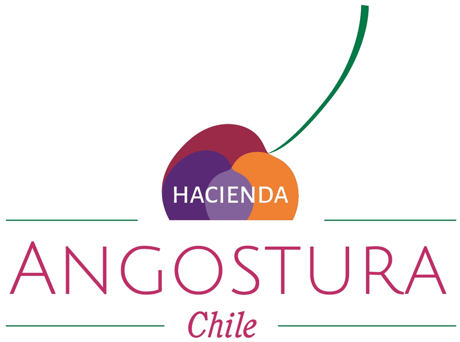Hacienda Angostura · Chile