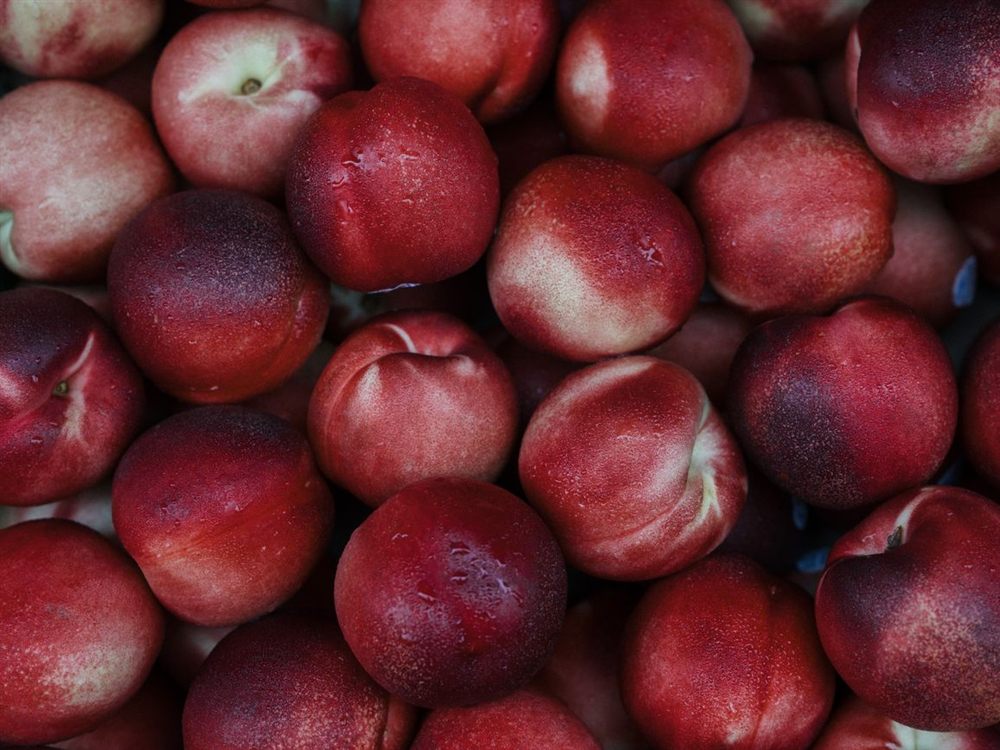 Stone Fruit